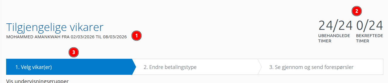 vikar4.png